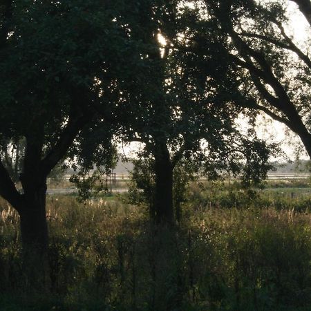 Landhaus An Der Wiek Poseritz Luaran gambar