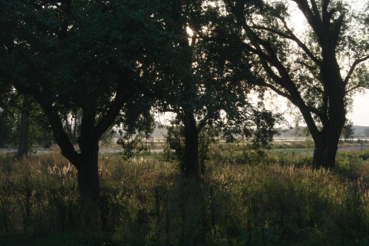 Landhaus An Der Wiek Poseritz Luaran gambar